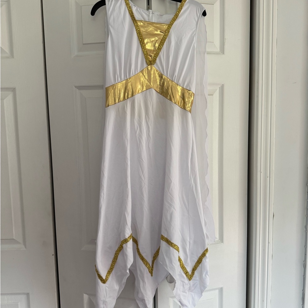 White and Gold Costume Dress